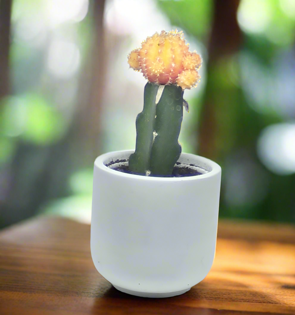 Round Concrete Candle